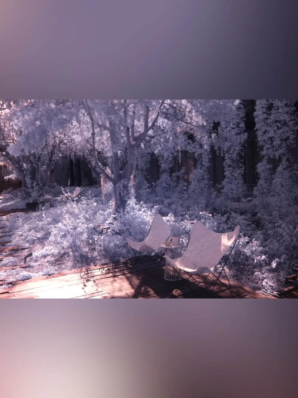 Fujifilm X100V with Infrared SuperColor Conversion